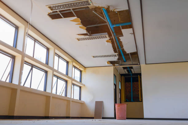 Best Water damage restoration near me  in Washington Park, FL