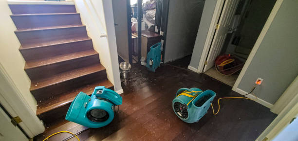 Best Mold removal after water damage  in Washington Park, FL