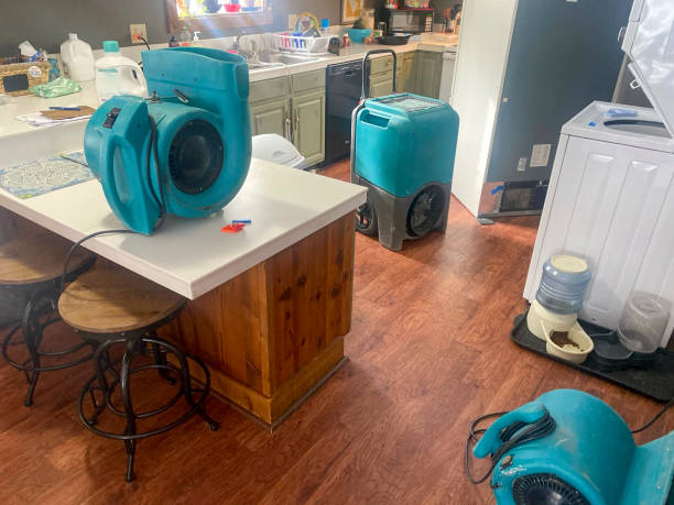 Best Water damage contractors near me  in Washington Park, FL