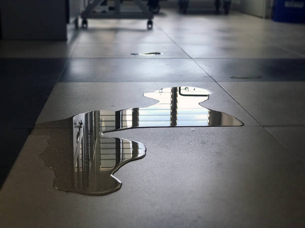 Best Water damage mitigation services  in Washington Park, FL