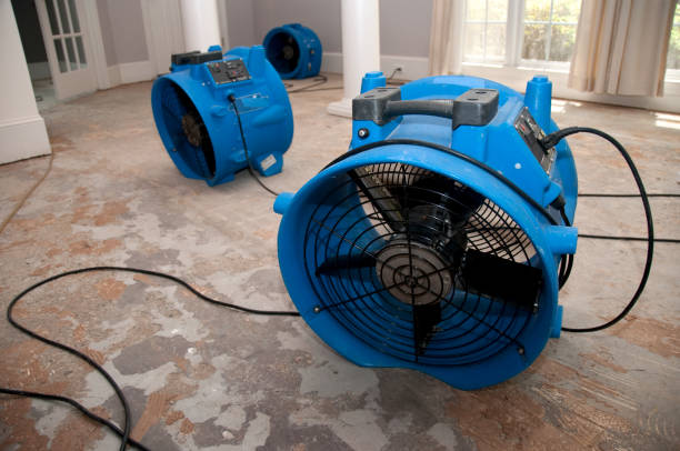 Best Water damage restoration near me  in Washington Park, FL