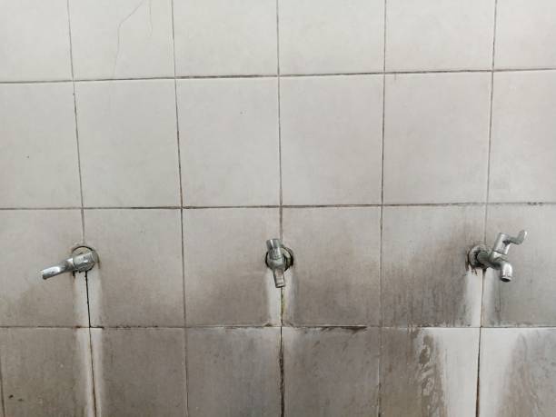 Best Fire Damage Restoration  in Washington Park, FL
