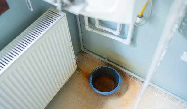 Best Water damage contractors near me  in Washington Park, FL