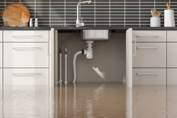 Best 24/7 water damage repair  in Washington Park, FL