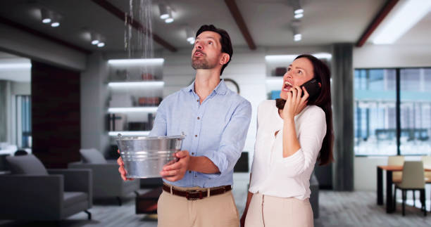 Best Residential water damage restoration  in Washington Park, FL