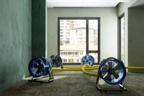 Best Commercial water damage restoration  in Washington Park, FL