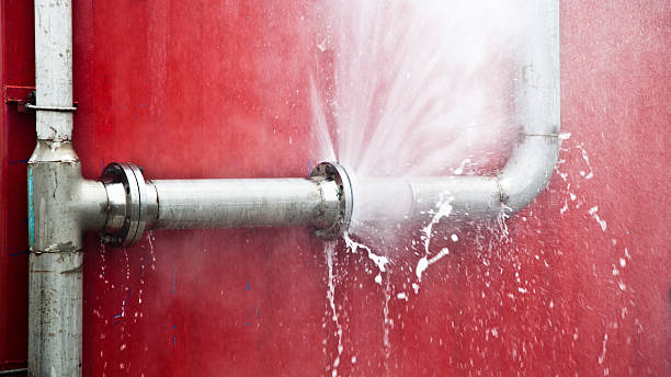 Best Ceiling water damage repair  in Washington Park, FL